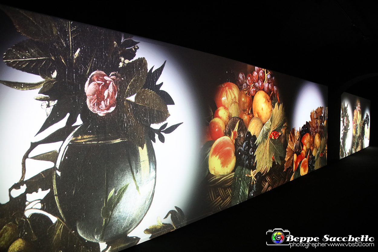 VBS_7830 - La canestra di Caravaggio.jpg